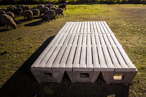 Slats para cerdos